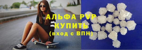 PSILOCYBIN Бородино