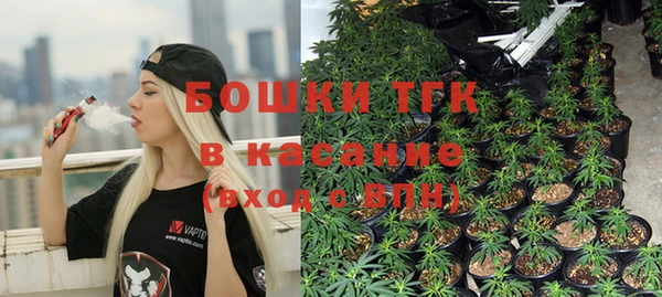 гидропоника Бугульма