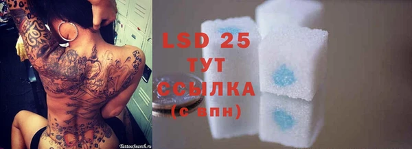 PSILOCYBIN Бородино