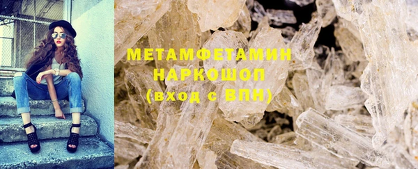 PSILOCYBIN Бородино