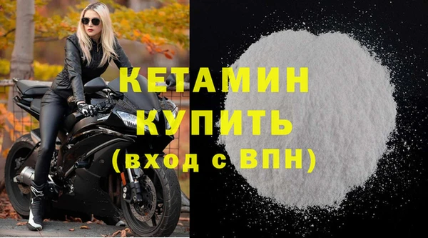 PSILOCYBIN Бородино