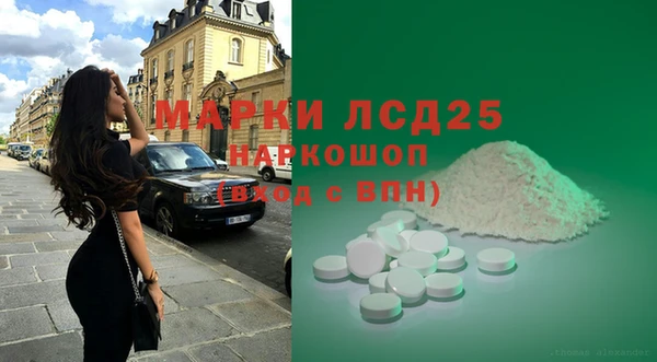 PSILOCYBIN Бородино
